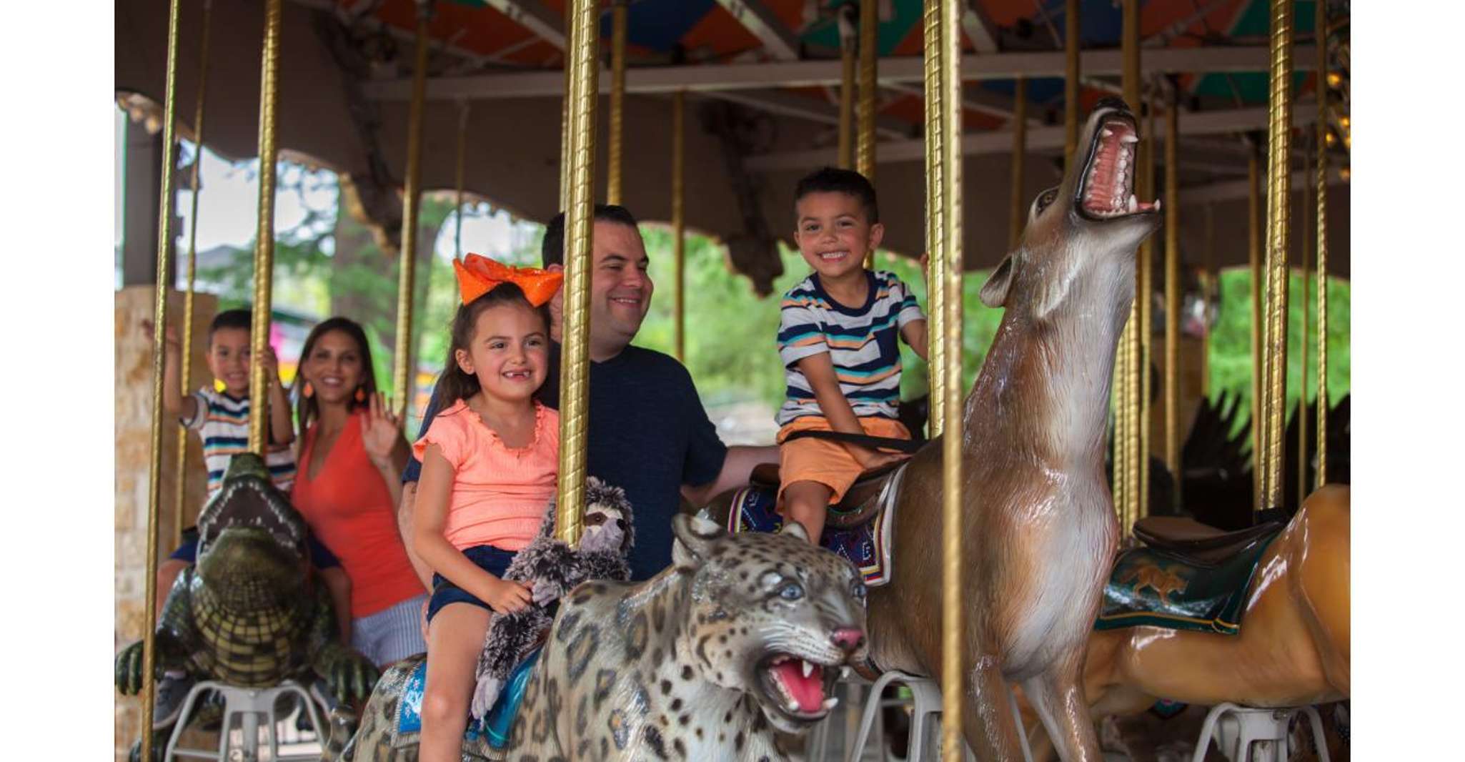 San Antonio Zoo Any Day Ticket photo 15