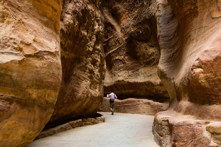 Besuche Petra, Wadi Rum und das Tote Meer 3 Tage private Tour