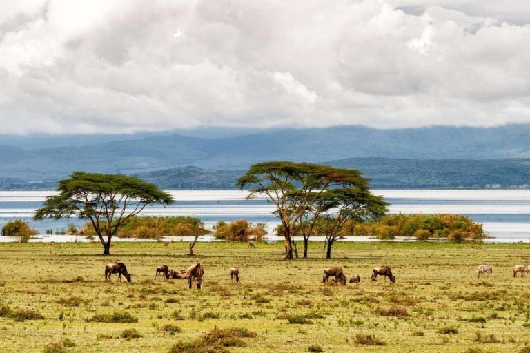Nairobi Day Trip To Crescent Island Game Park -Lake Naivasha