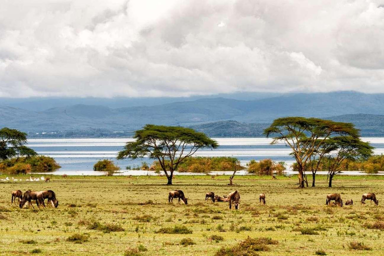 Nairobi Tagesausflug zum Crescent Island Game Park -Lake Naivasha