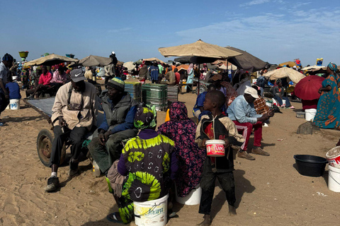 M'bour: Full-day immersion at the fishing harbor and arrival of the canoes