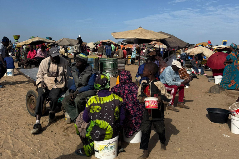 M'bour: Full-day immersion at the fishing harbor and arrival of the canoes