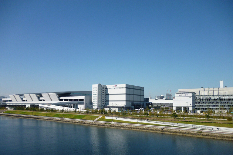 Toyosu Fish Market Tour for Chefs – Go Behind the Scenes