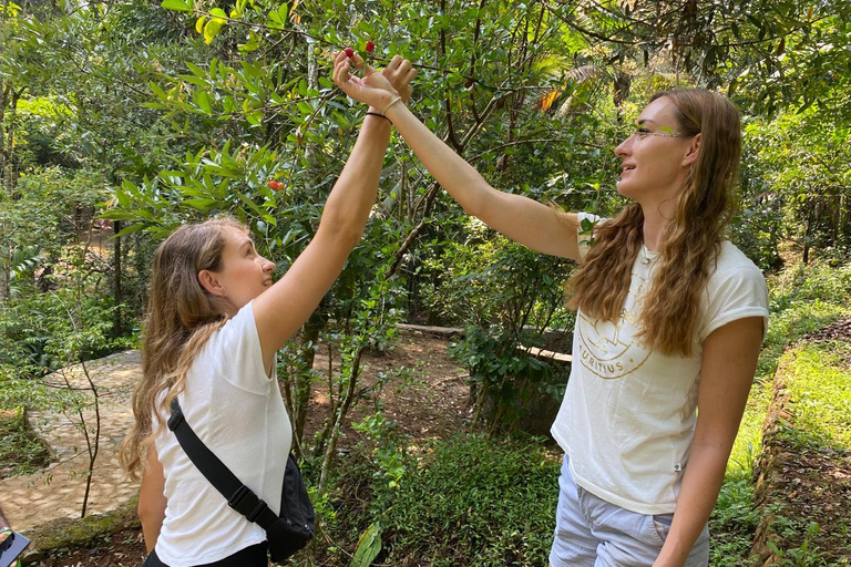 Ella : Clase de cocina con increíble visita al Jardín de las Especias