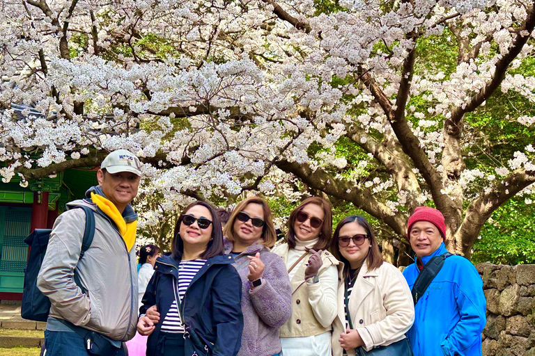 Jeju East: Cherry Blossom Tour & Women Divers Show