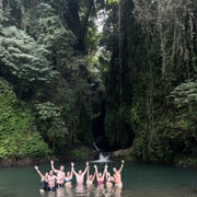 From North Bali: Aling Aling Waterfall and Blue Lagoon Tour
