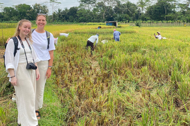 Borobudur Temple Climb Ticket, Sunrise and Village Tour From Borobudur: Sunrise, Borobudur Temple, and Village Tour