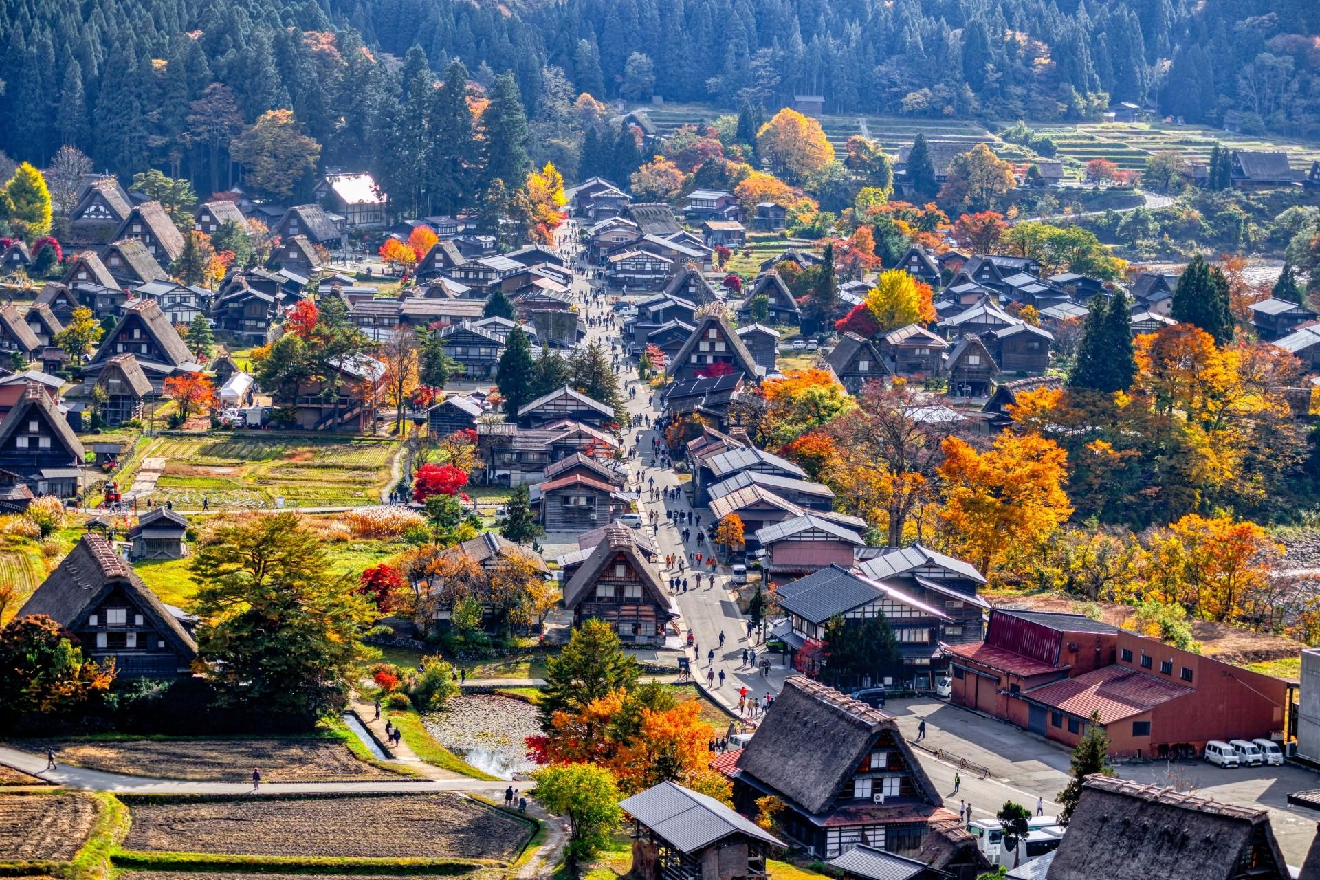 Von Nagoya aus: Takayama & Shirakawa-gō (Mittagessen optional)
