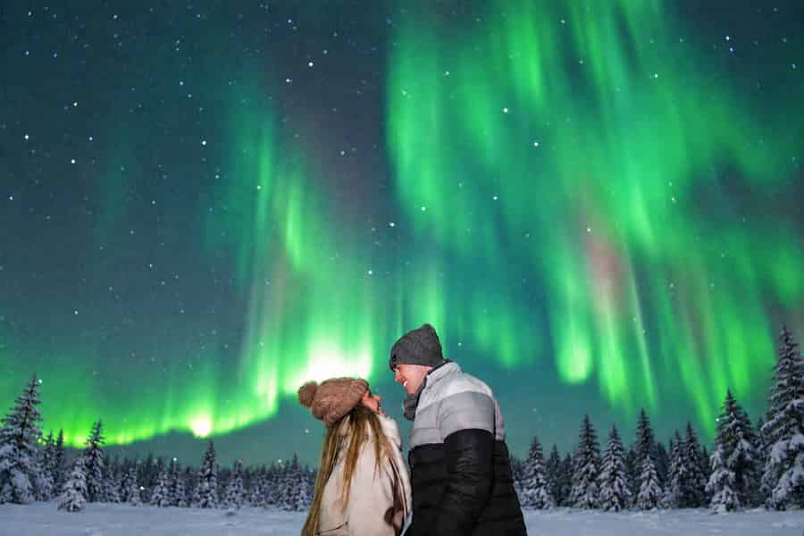 Rovaniemi: ⭐Nordlichter-Tour | 100 % garantiert & Fotos⭐. Foto: GetYourGuide Rovaniemi: ⭐Nordlichter-Tour | 100 % garantiert & Fotos⭐. Foto: GetYourGuide