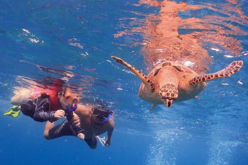 Cancún: Šnorchlování v Podmořském muzeu a na útesu Manchones Reef