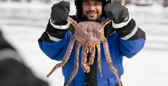 Saariselkä: King Crab Safari to Kirkenes with lunch