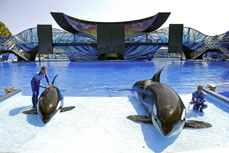 Dubai: Ferrari World Abu Dhabi With Entry Ticket & Transfer Dubai: SeaWorld Abu Dhabi With Entry Ticket & Transfer