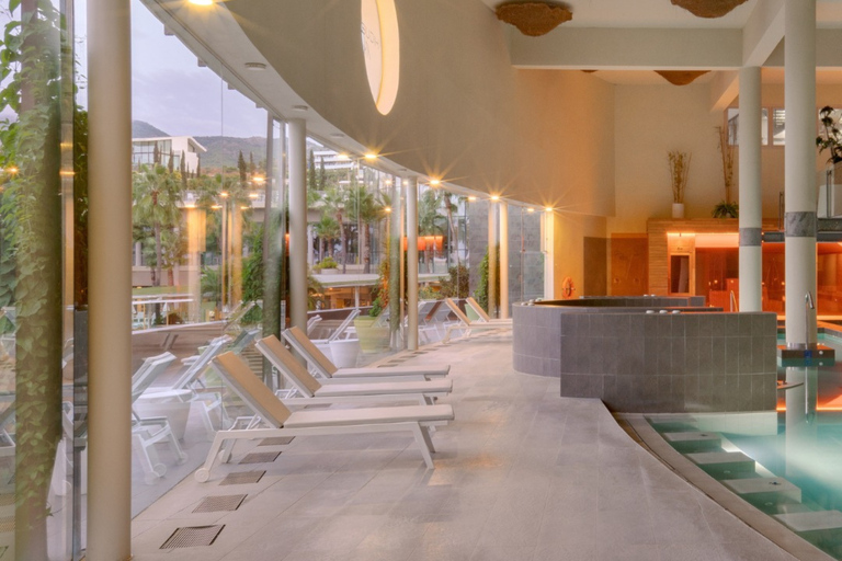 من مالقة: منتجع هيغيرون الصحي وتناول الطعام الفاخر - سيارة تيسلا X الفاخرة