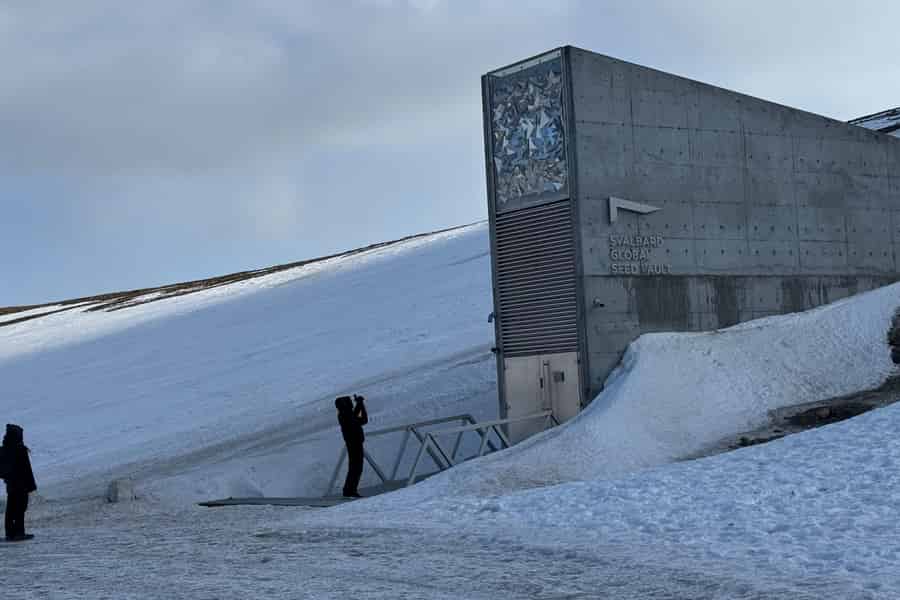 Spitzbergen: Besichtigung des Globalen Samenlagers und des Arktischen Aussichtspunkts mit dem Auto. Foto: GetYourGuide Spitzbergen: Besichtigung des Globalen Samenlagers und des Arktischen Aussichtspunkts mit dem Auto. Foto: GetYourGuide