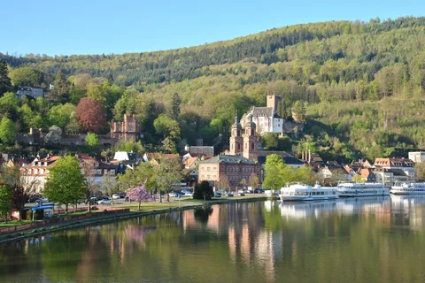 Miltenberg - Tour a pie privado
