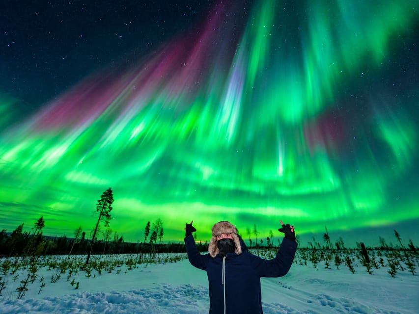 Rovaniemi Aurora Hunt - 100% Guaranteed, Photos, Small Group