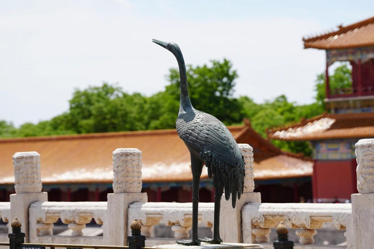 Beijing: Forbidden City Entry Ticket included with options Option 3: Forbidden City Ticket+ Private English guide