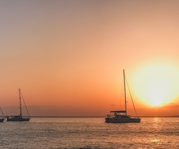 Lanzarote: Dolphin-Watching Sunset Cruise with Transfers