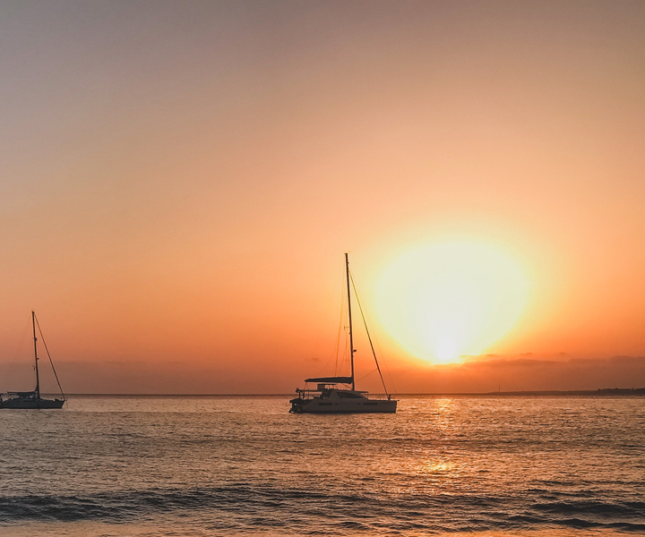 Lanzarote: Dolphin-Watching Sunset Cruise with Transfers