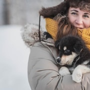 Levi: Besuch der Pferde- und Huskyfarm mit Saft und Keksen