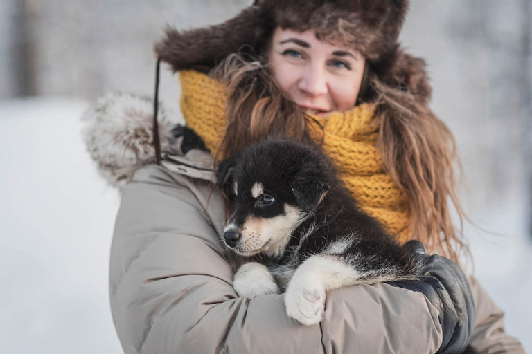 Levi: Horse and Husky Farm Visit with Juice and Cookies