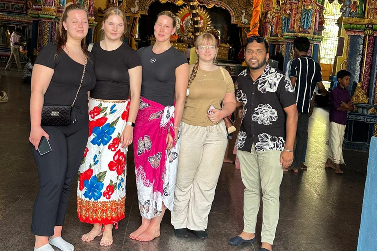 CMB/Negombo: Sigiriya, Kandy & Ella Private Tour with Driver Private Van with Driver – Up to 50 km