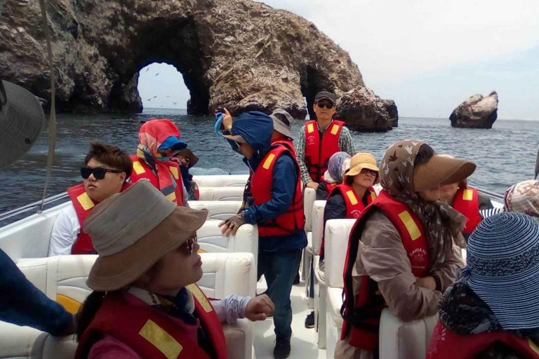 From Paracas: Ballestas Islands and Paracas National Reserve Ballestas Islands tour only