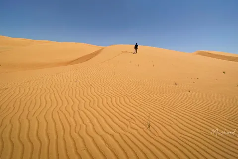 Muscat: Wahiba Sands Desert & Wadi Bani Khalid - całodniowa wycieczka