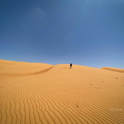 Visit Muscat Wahiba Sands Desert & Wadi Bani Khalid Full Day Tour in Muscat
