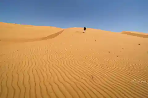 Muscat: Wahiba Sands Desert & Wadi Bani Khalid Full Day Tour