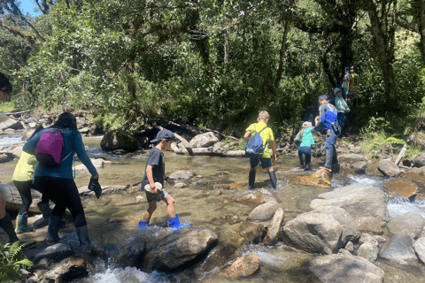 Papallacta Hot Springs und Trekking im Cuyuja Reservat mit Transfer