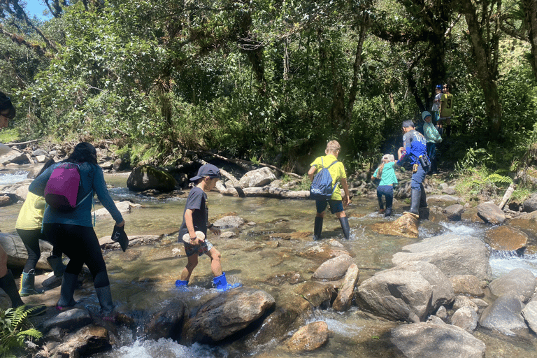 Papallacta Hot Springs und Trekking im Cuyuja Reservat mit Transfer