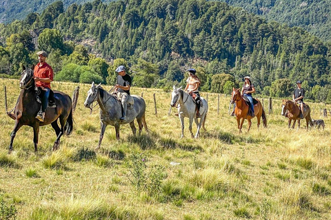Rafting and Horseback Riding in El Manso, departing from Bariloche