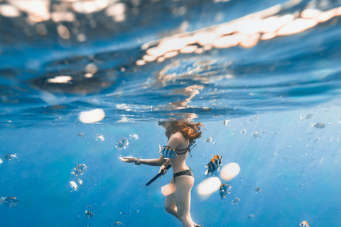 Bali/Nusa Dua: snorkeling, giro in barca con fondo trasparente e centro tartarugheTour per piccoli gruppi con trasferimento (Nusa Dua)