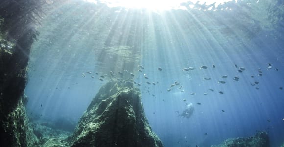 Chania: Scuba Diving and Snorkeling for Beginners with Photos