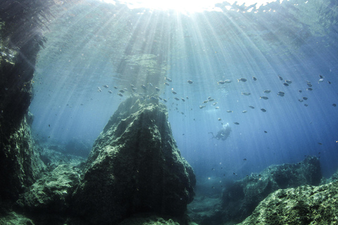 Creta: Experiencia de Buceo Guiado en Chania para Buceadores Certificados