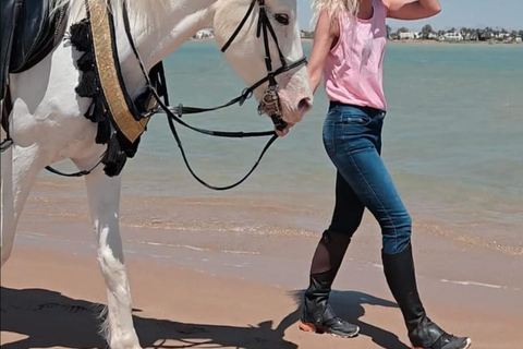 Hurghada: Horse Riding in the Desert & Beach Experience 1 HR Desert Horse Riding Experience without transfer
