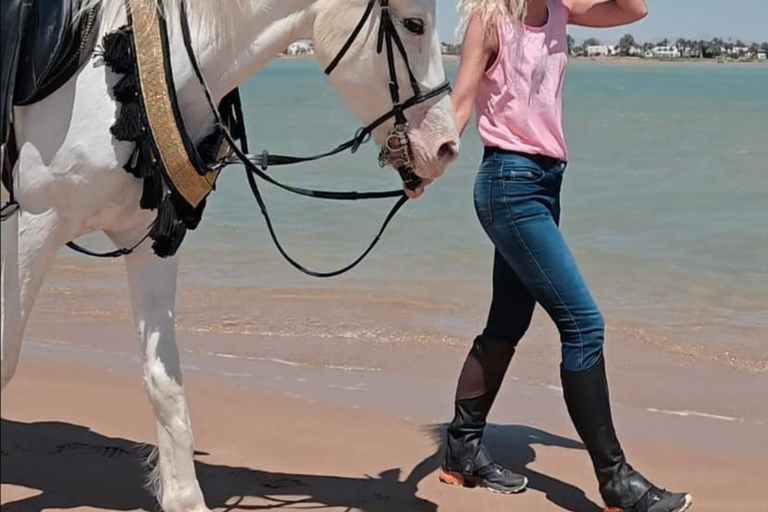 Hurghada: Horse Riding in the Desert & Beach Experience 1 HR Desert Horse Riding Experience without transfer