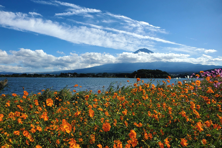 Viaje de 3 días a Tokio, el Monte Fuji y Hakone