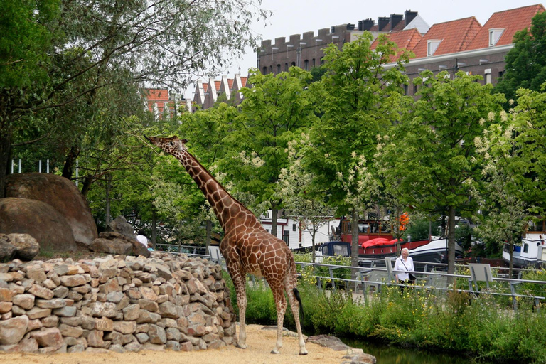Amsterdam: ARTIS Summer Nights at the ARTIS Zoo
