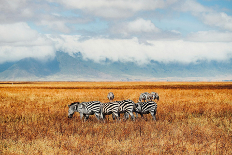 Escursione di un giorno al cratere di Ngorongoro