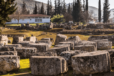 Visite privée de luxe : Sites antiques de Némée et dégustation de vin