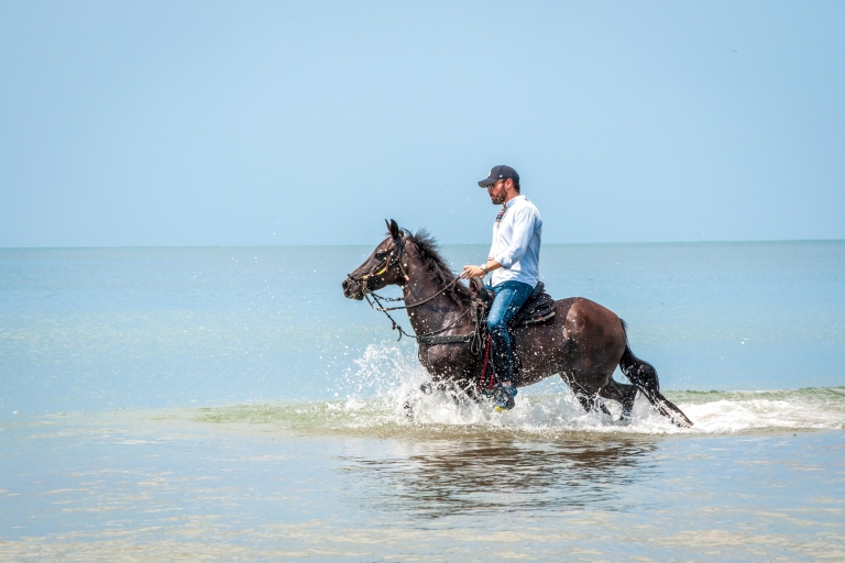 Cartagena: strandpaardrijden en Colombiaanse paardencultuur