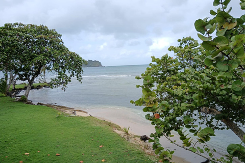 Paseo en 4 Islas paradisíacas de Portobelo conguía,salvavida