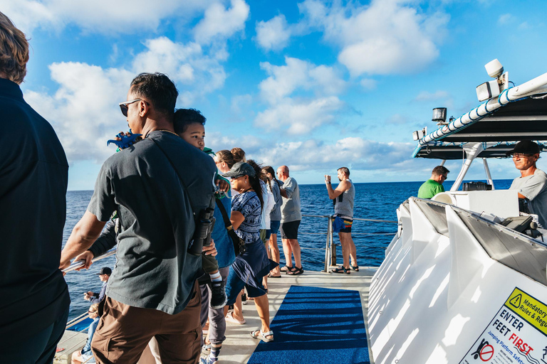 Honolulu, Oahu: Waikiki Whale Watching Cruise