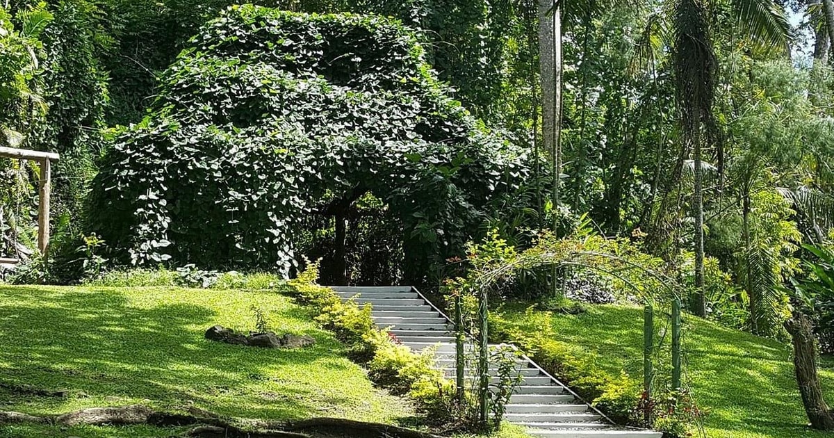 Der Garten des schlafenden Giganten GetYourGuide