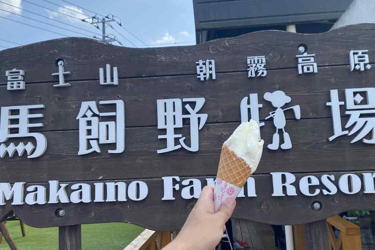 Mt Fuji Lake Tanuki & Makaino Farm Day Tour with Pickup 8:00 Meet at Tokyo Station Marunouchi North