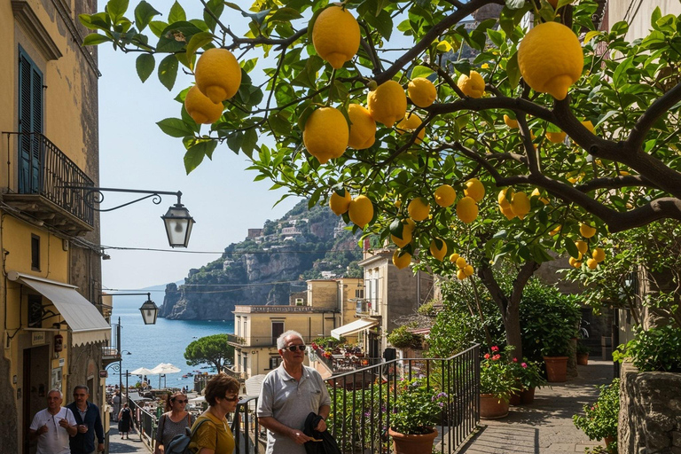 Pompeii Ruins & Sorrento Day Trip with Limoncello from Rome English: Pompeii Ruins & Sorrento Day Trip from Rome