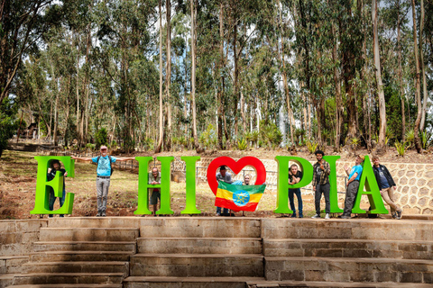 Von Addis Abeba: 2 Tage Awash-Nationalpark und Krater