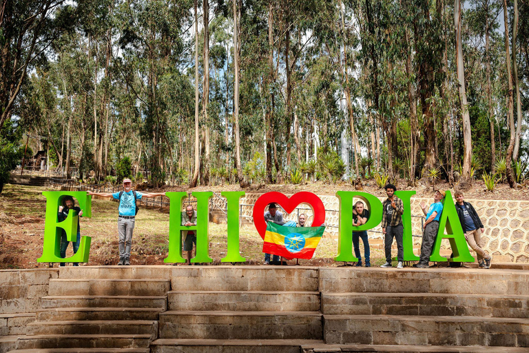 Von Addis Abeba: 2 Tage Awash-Nationalpark und Krater